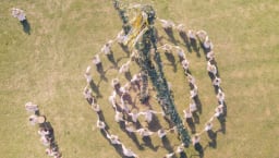 movie still image thumbnail