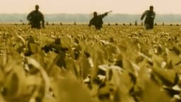 movie still image thumbnail