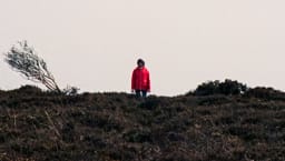 movie still image thumbnail