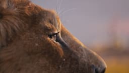 movie still image thumbnail