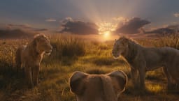 movie still image thumbnail