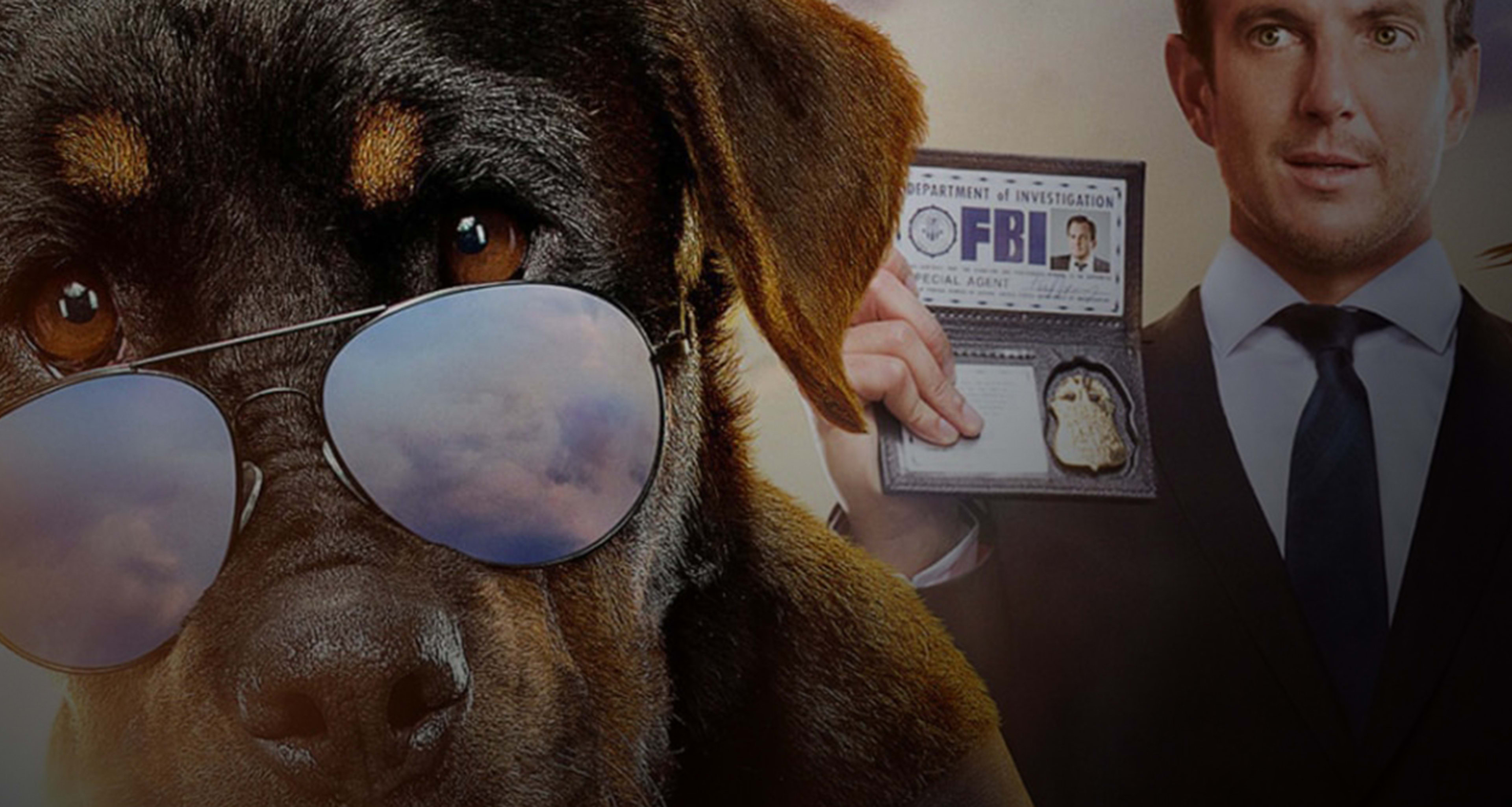 Show Dogs