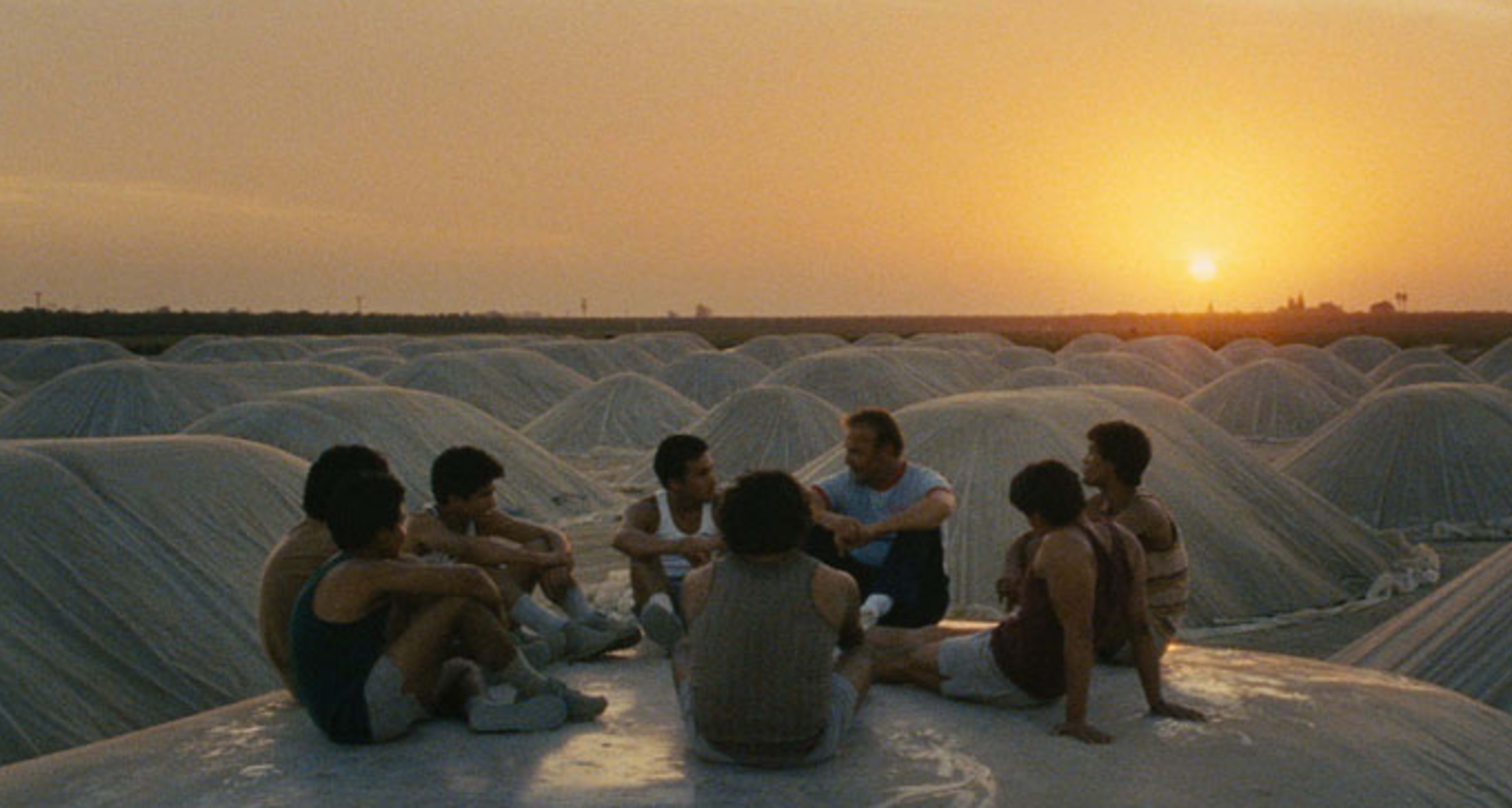 McFarland