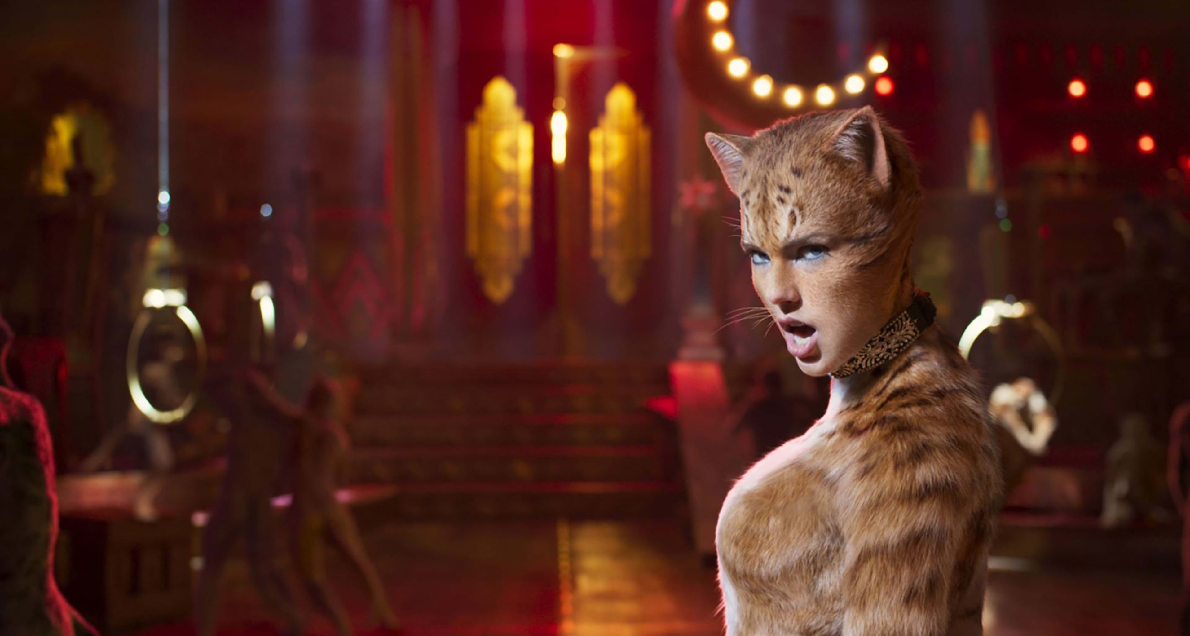 Cats