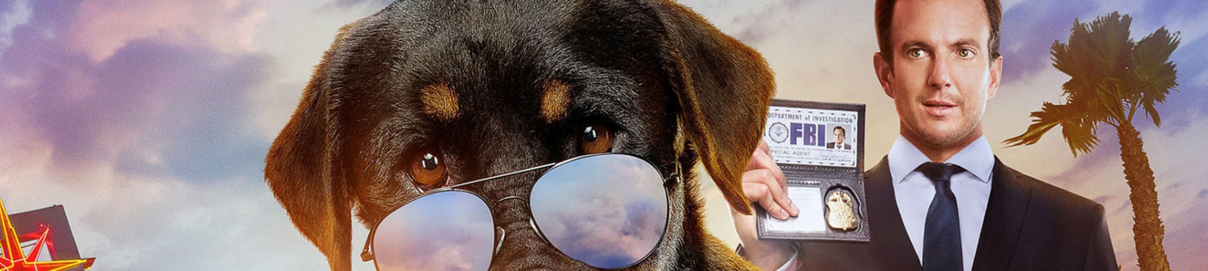 Show Dogs