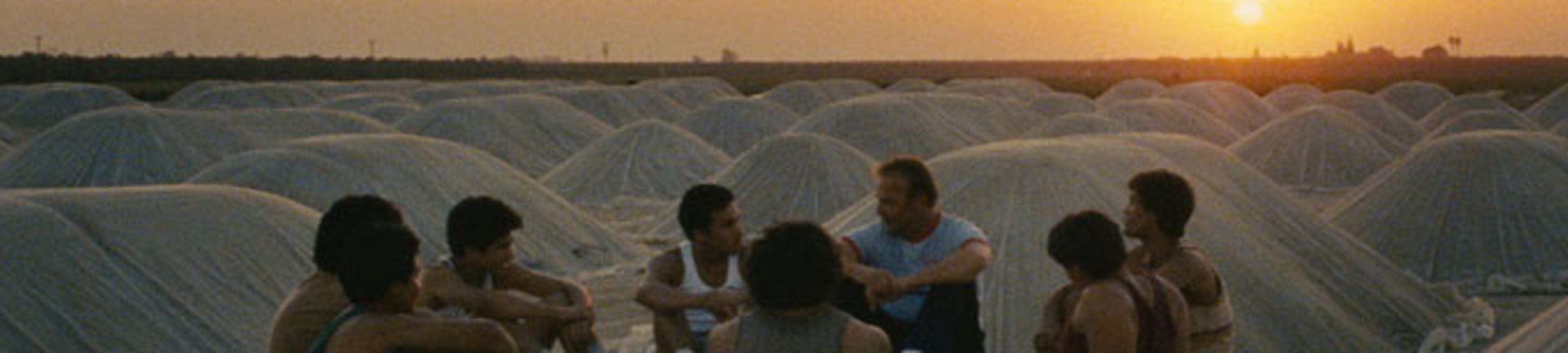 McFarland