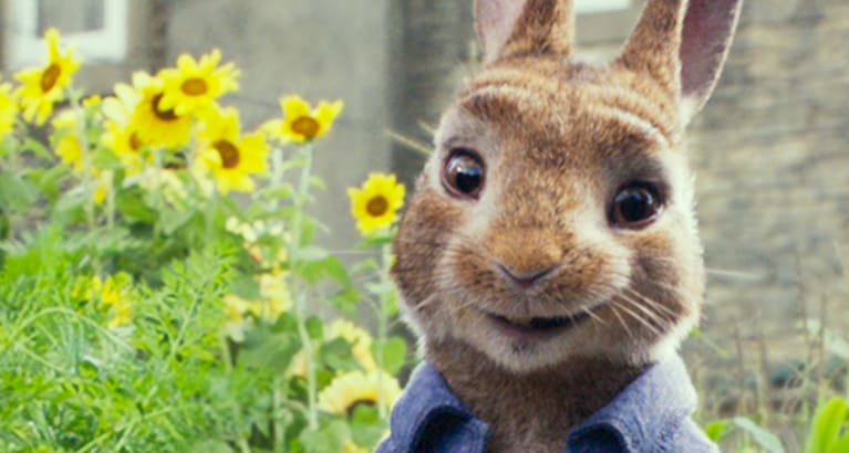 Peter Rabbit