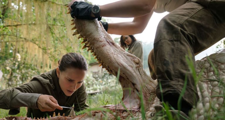 Annihilation