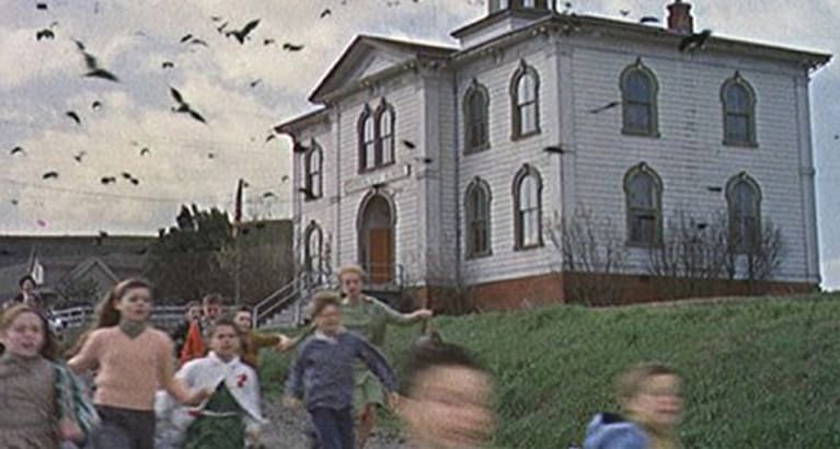 The Birds (1963)