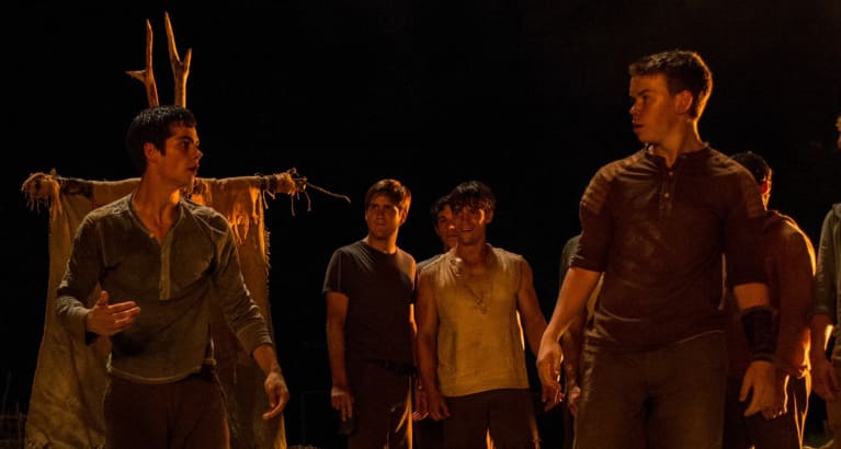 The Maze Runner
