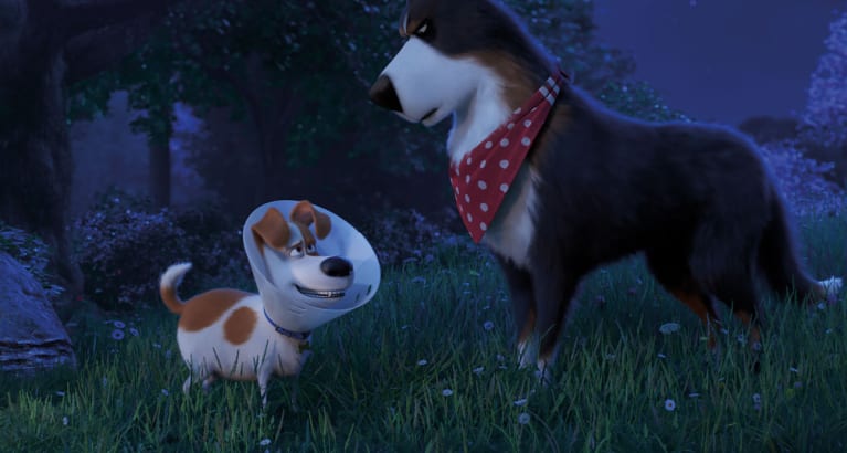 The Secret Life of Pets 2-Movie Collection
