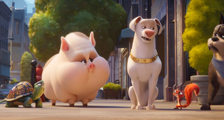 Super pets near me outlet