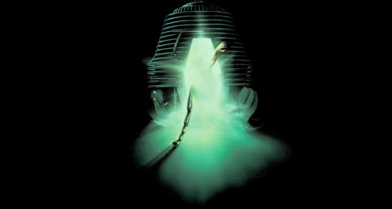 The Fly