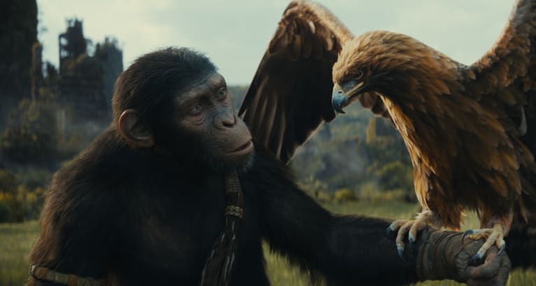Kingdom of the Planet of the Apes