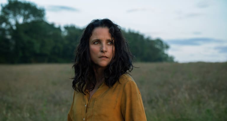 Tuesday - Q&A with filmmaker Daina O. Pusic and actors Julia Louis-Dreyfus & Lola Petticrew