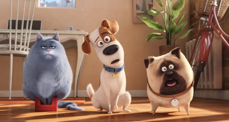 The Secret Life Of Pets