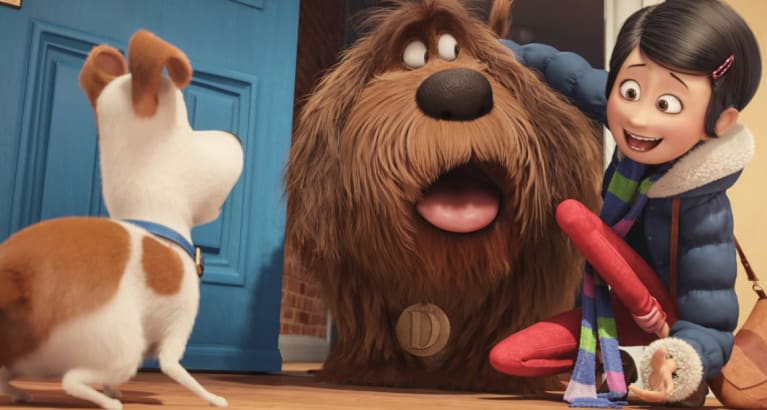 The Secret Life Of Pets