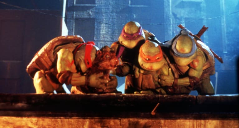 Teenage Mutant Ninja Turtles 35th Anniversary
