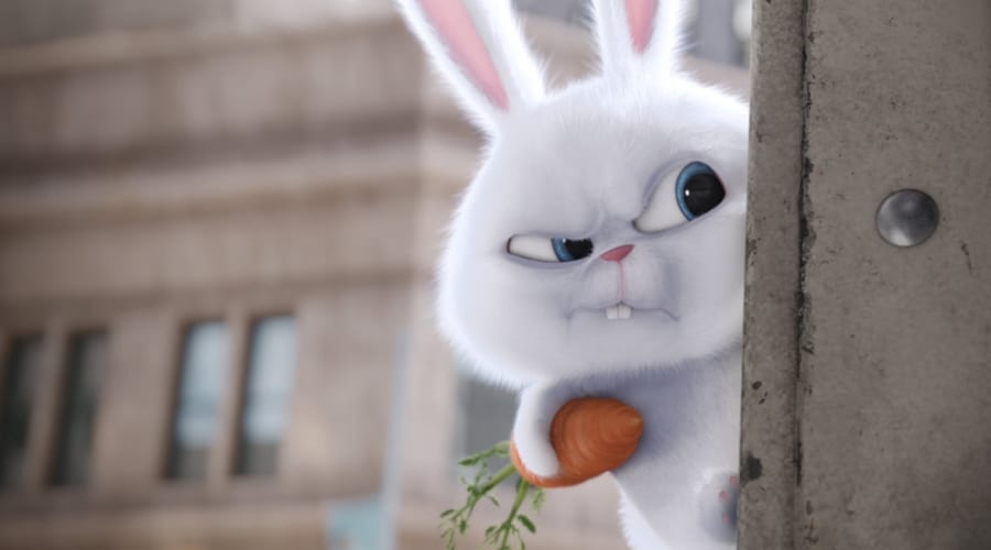 movie still image