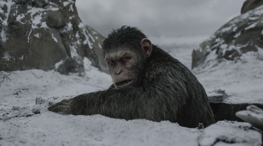 movie still image