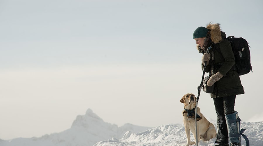 movie still image
