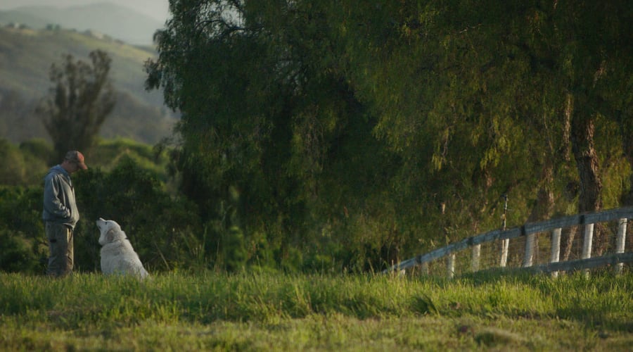 movie still image
