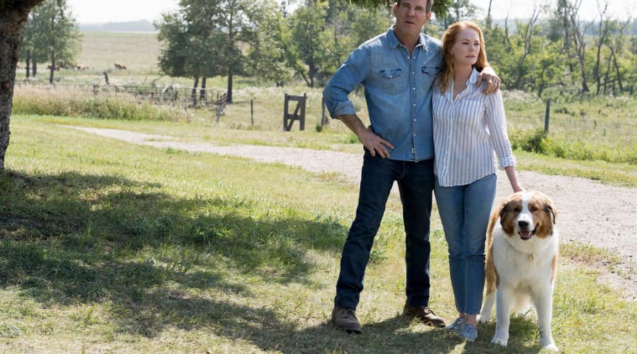 movie still image