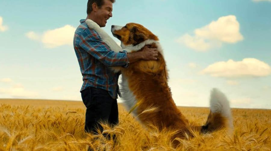 movie still image