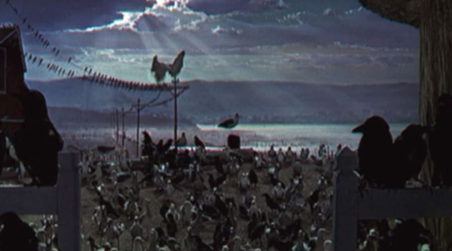 movie still image