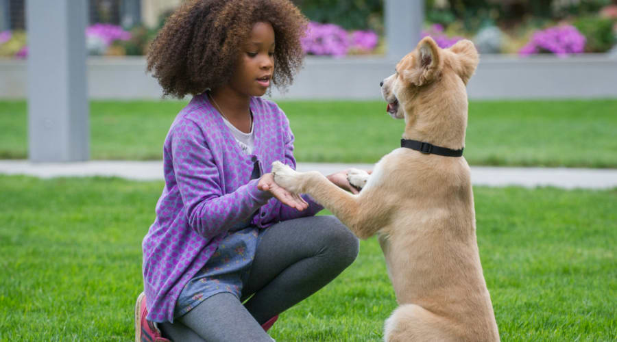 movie still image
