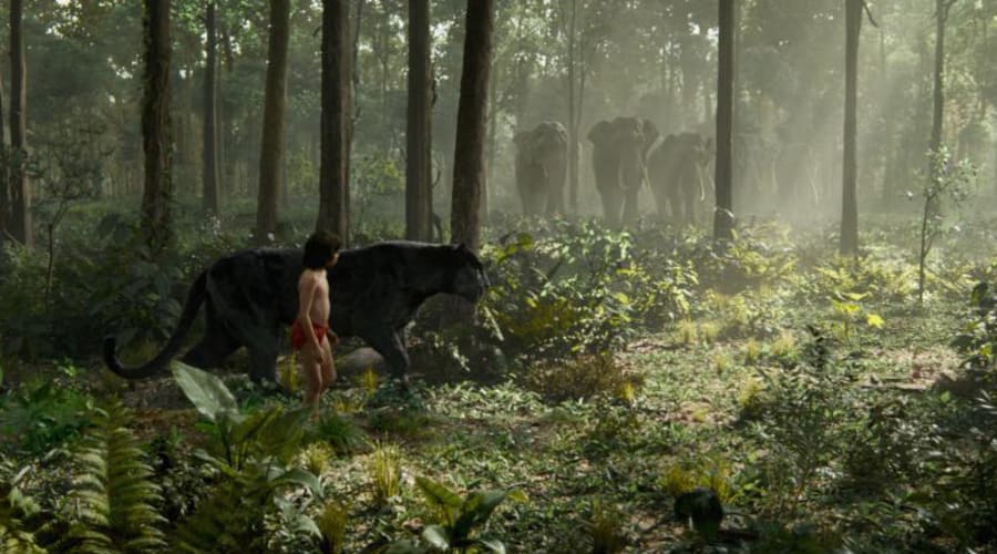 movie still image