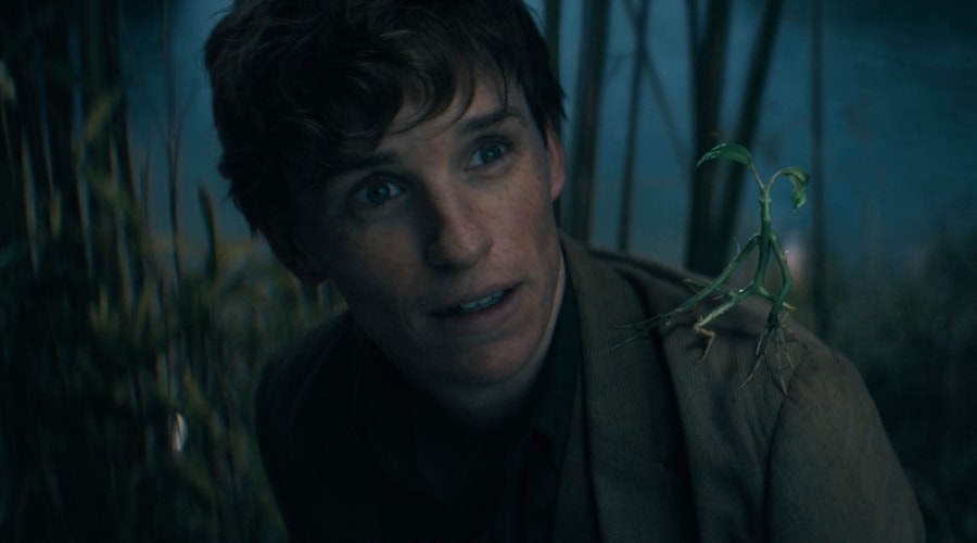 movie still image