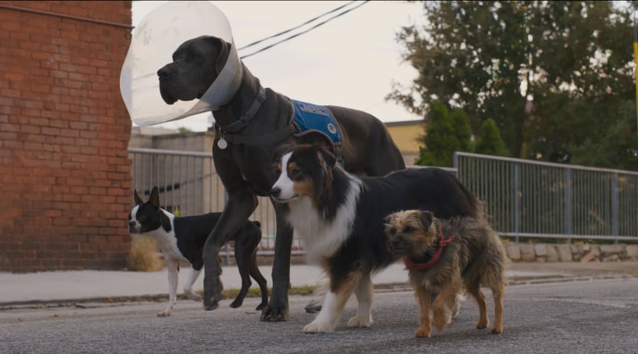 movie still image