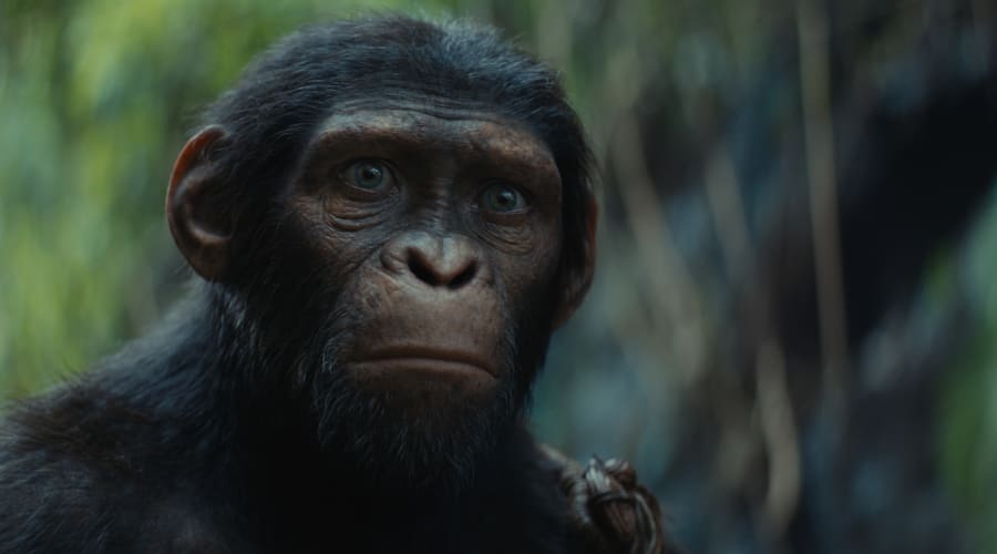 movie still image