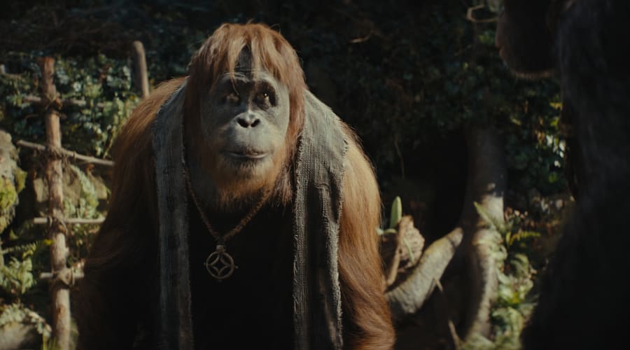 movie still image