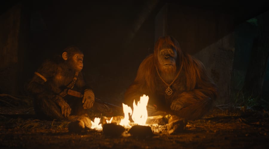 movie still image