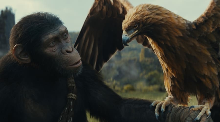 movie still image