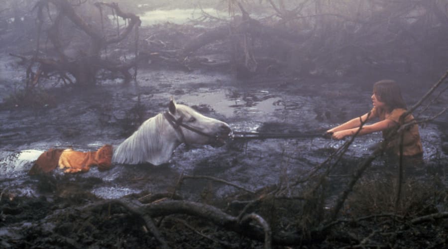movie still image