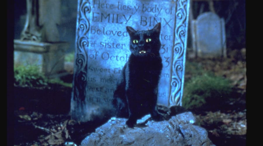 movie still image