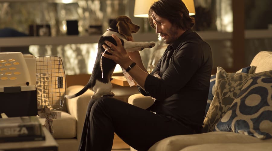 movie still image