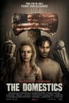 Movie Poster Image for The Domestics
