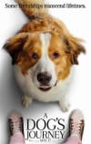 Movie Poster Image for A Dog's Journey