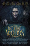 Movie Poster Image for Into The Woods