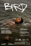 Movie Poster Image for Bird