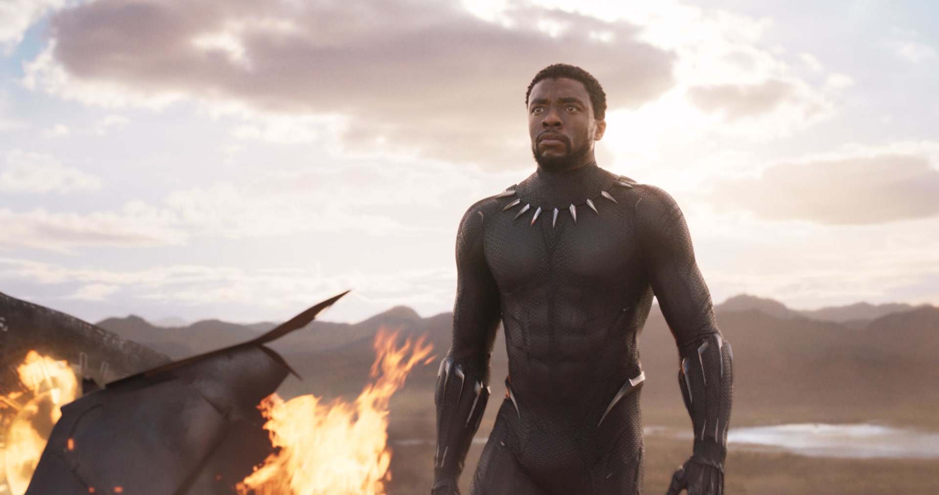Black Panther in Black Panther