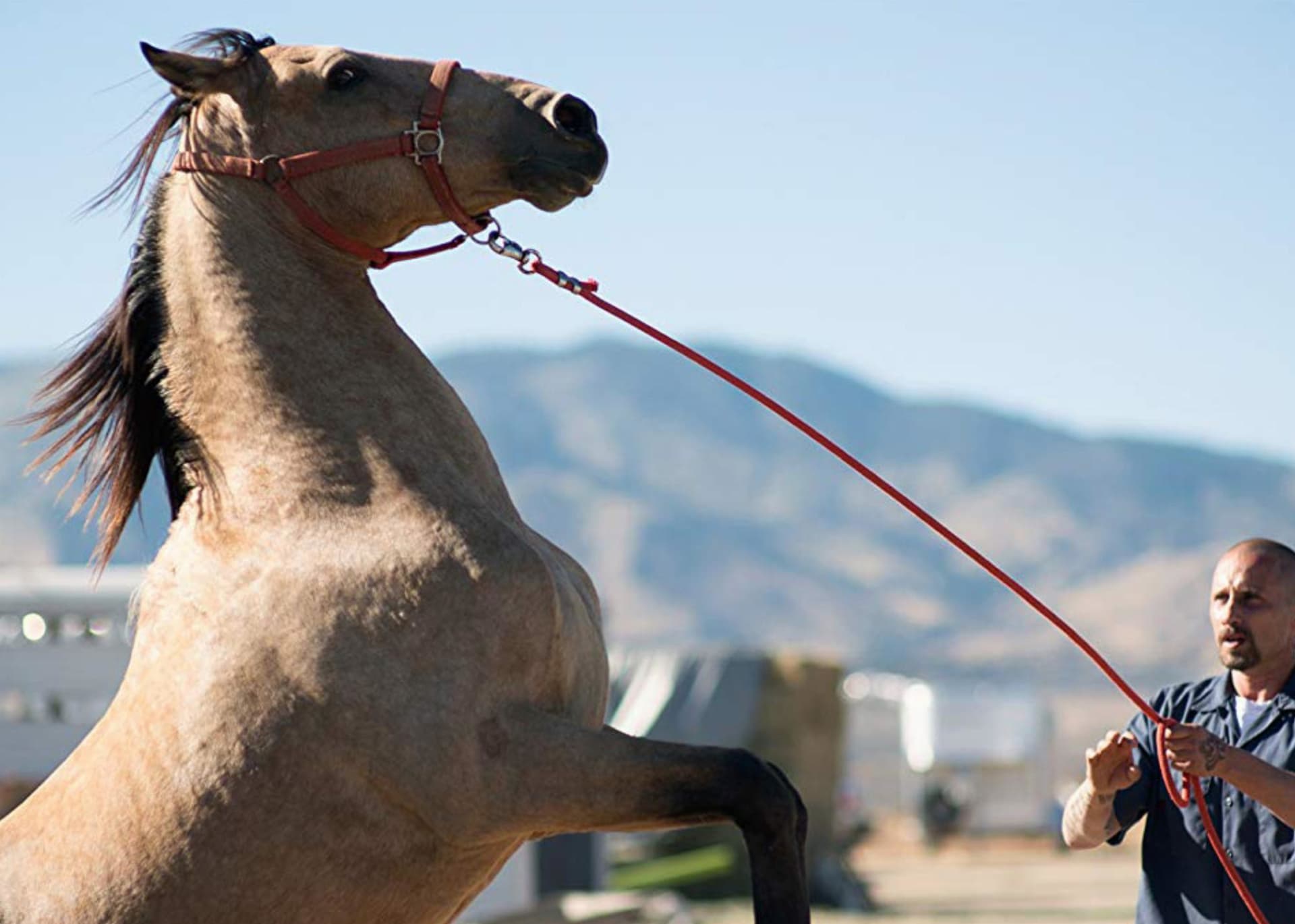 Sundance 2019: Exclusive The Mustang Interview