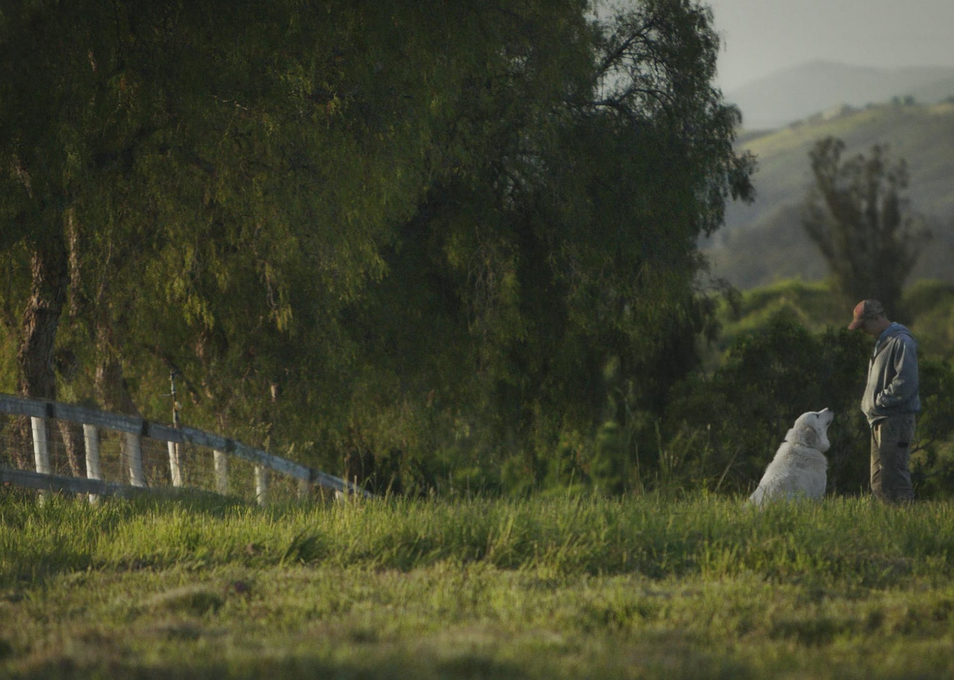 The Biggest Little Farm: 2019’s Most Inspiring Movie