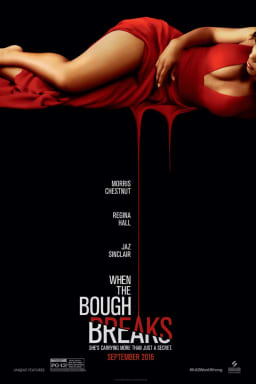Movie Poster Image for When The Bough Breaks