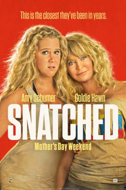 Movie Poster Image for Snatched