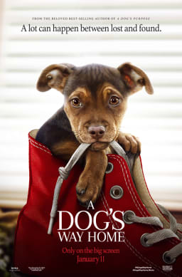 Movie Poster Image for A Dog's Way Home